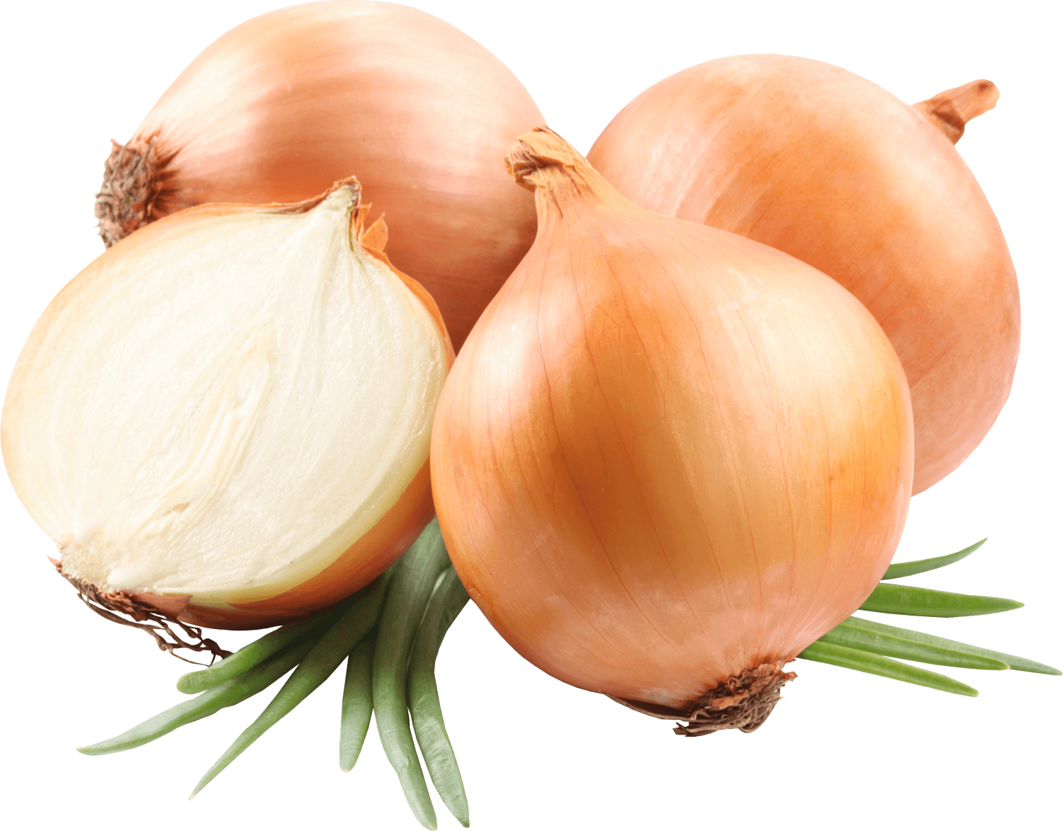 Onions